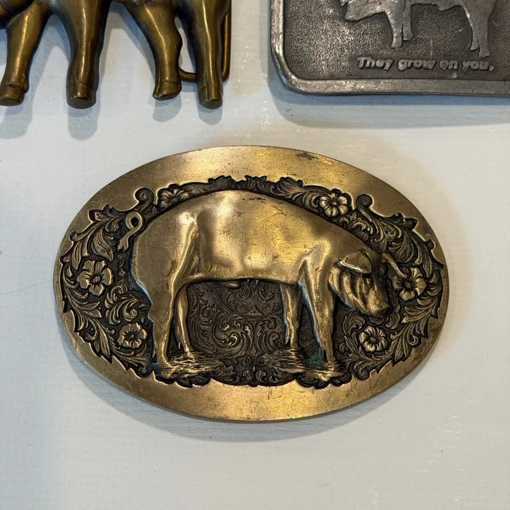 Brass and pewter big buckles